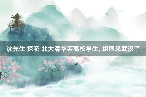 沈先生 探花 北大清华等高校学生， 组团来武汉了