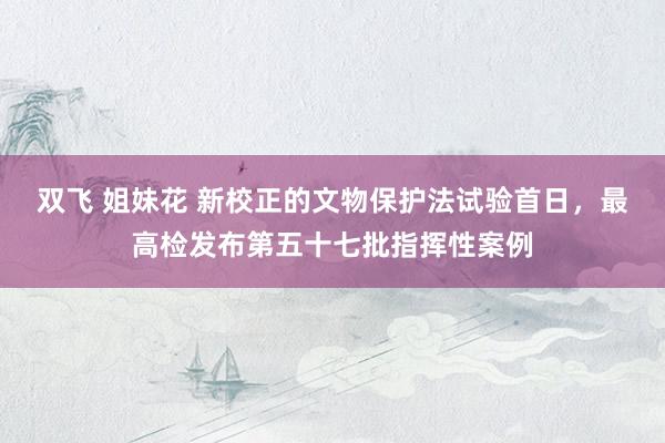 双飞 姐妹花 新校正的文物保护法试验首日，最高检发布第五十七批指挥性案例