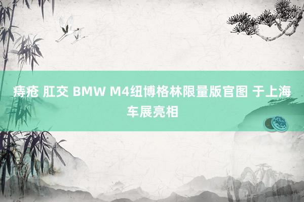 痔疮 肛交 BMW M4纽博格林限量版官图 于上海车展亮相