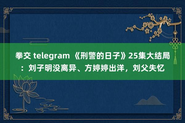 拳交 telegram 《刑警的日子》25集大结局：刘子明没离异、方婷婷出洋，刘父失忆