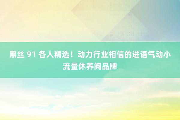 黑丝 91 各人精选！动力行业相信的进语气动小流量休养阀品牌