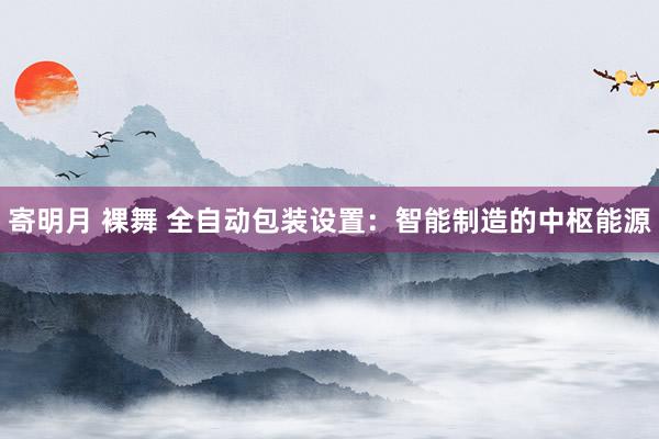 寄明月 裸舞 全自动包装设置：智能制造的中枢能源