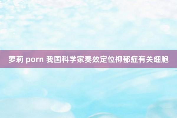 萝莉 porn 我国科学家奏效定位抑郁症有关细胞