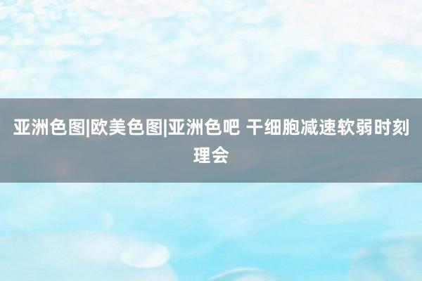 亚洲色图|欧美色图|亚洲色吧 干细胞减速软弱时刻理会