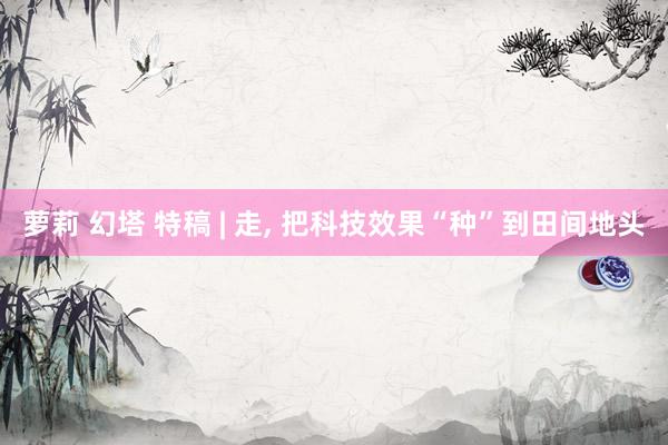 萝莉 幻塔 特稿 | 走， 把科技效果“种”到田间地头
