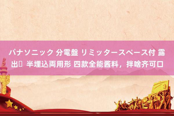 パナソニック 分電盤 リミッタースペース付 露出・半埋込両用形 四款全能酱料，拌啥齐可口