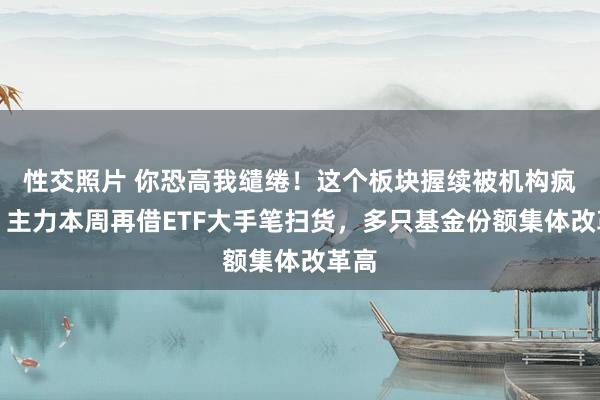 性交照片 你恐高我缱绻！这个板块握续被机构疯抢，主力本周再借ETF大手笔扫货，多只基金份额集体改革高
