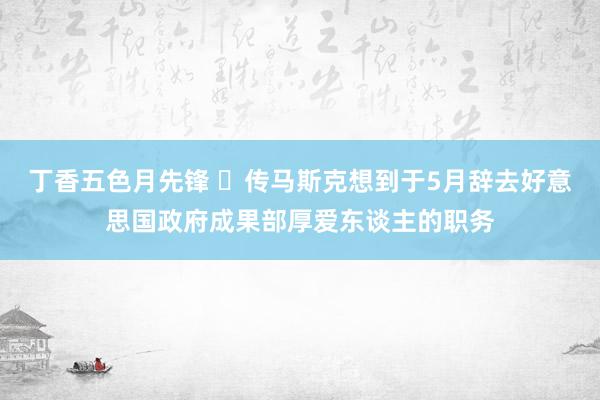 丁香五色月先锋 ​传马斯克想到于5月辞去好意思国政府成果部厚爱东谈主的职务
